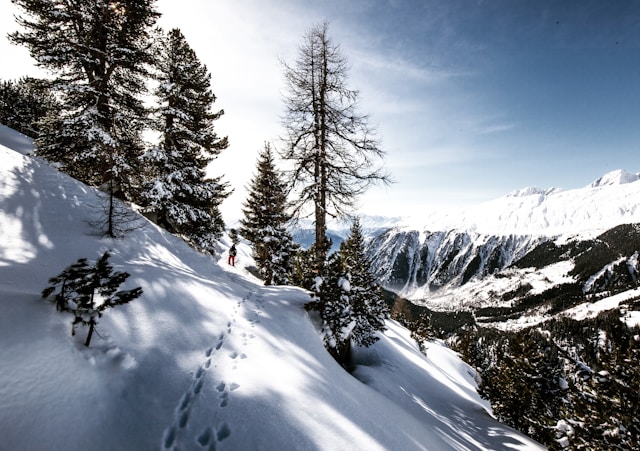 Activités hivernales en Suisse