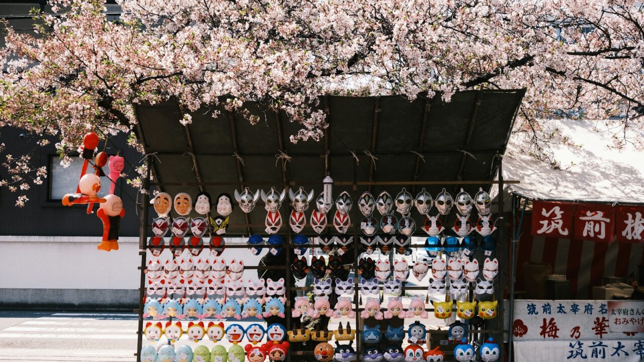 la tradition japonaise de célébrer les cerisiers en fleur
