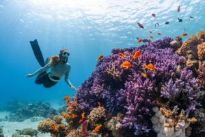 une femme fait de la plongée sous-marine sur un récif de corail coloré