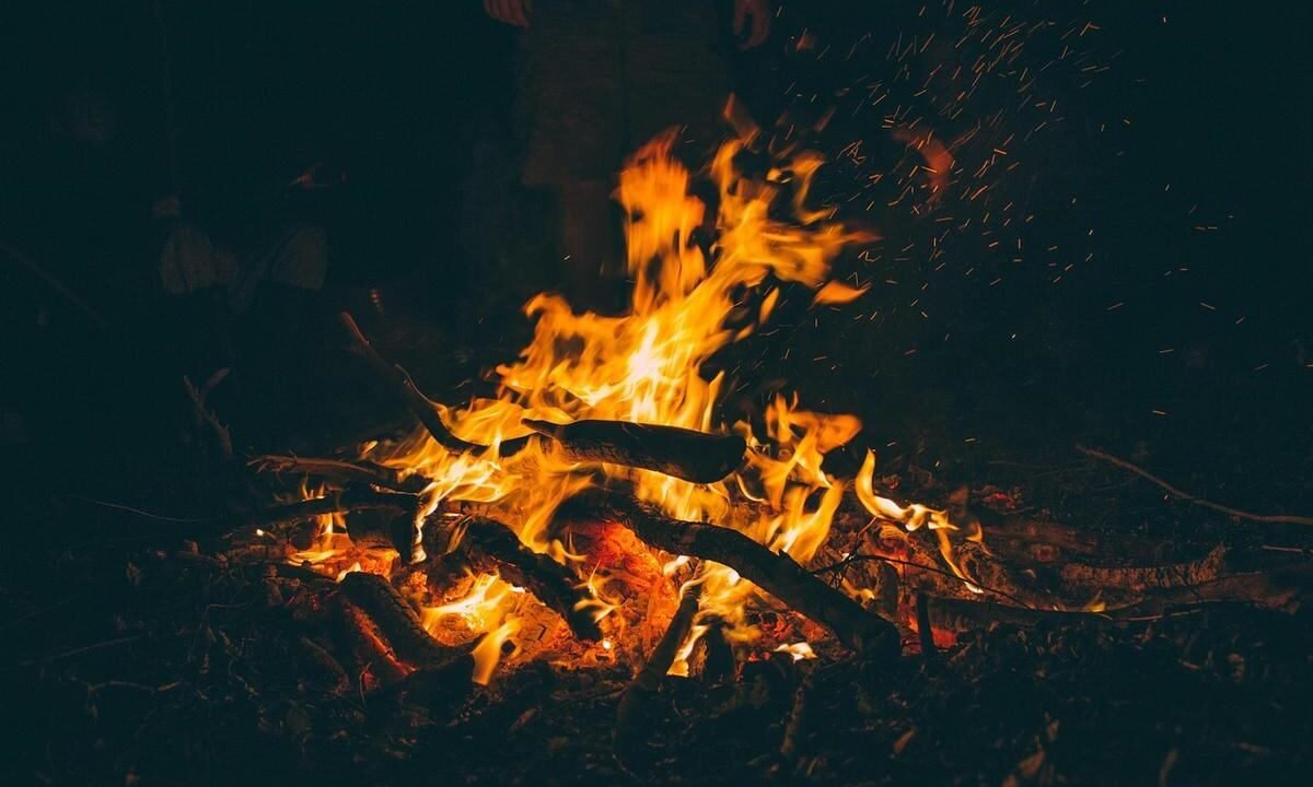 Feu de camp nocturne avec flammes orangées, bois et braises rougeoyantes